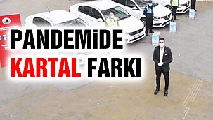 Pandemide