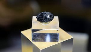 Bu elmasın değeri 750 bin dolar