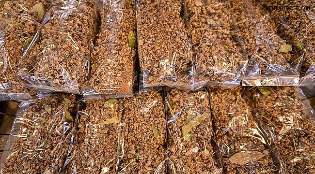 Ihlamur'un kilosu 300 liraya çıktı