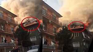 Kurtarılmayı böyle beklediler