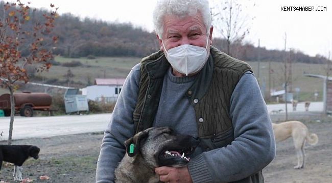 71 yaşında veterinerlik okudu