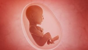 Anne karnında zehirleniyorlar