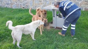 Başkan Yazıcı: Siz Evde Kalın, Onlar Bize Emanet