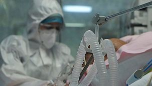 Borsası oluştu: Refakatçi aranıyor