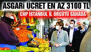 CHP İstanbul İl Örgütü Sahaya İndi