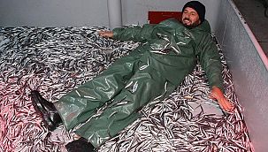 Hamsinin sofraya yolculuğu