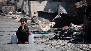 Sığınmacı kampında bebekleri fareler ısırıyor