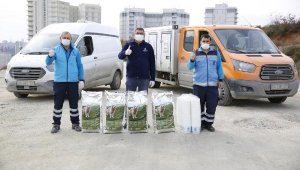 Sokağa çıkma kısıtlamasında sokak hayvanları unutulmadı