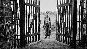 2020’nin en iyi 10 yabancı film