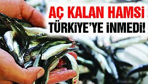 Denizlerde