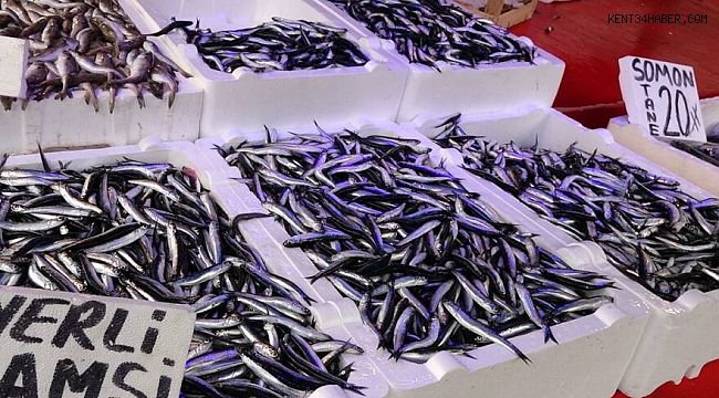 Hamsi avına yasak getirildi