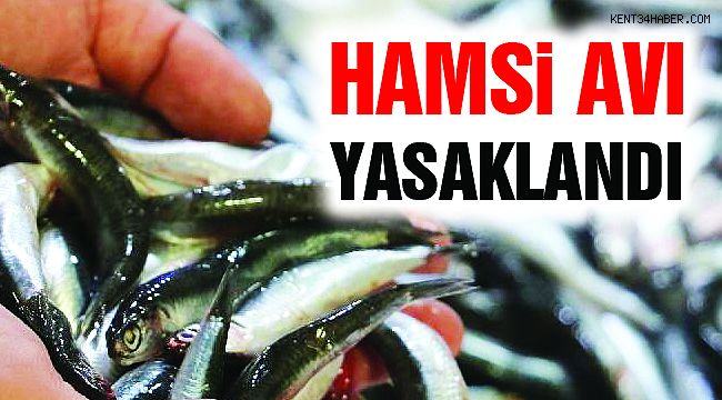 Karadeniz ve İstanbul Boğazı'nda "Hamsi Avı" Yasaklandı!