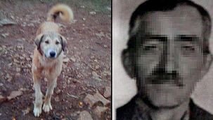 Köpeğini ‘fazla ekmek yiyor’ diye öldürdü