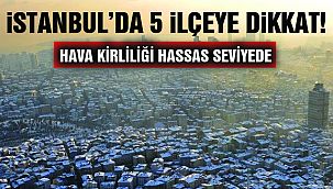 İstanbul'un 5 İlçesinde Hava Kirliliği ‘Hassas’ Seviyede