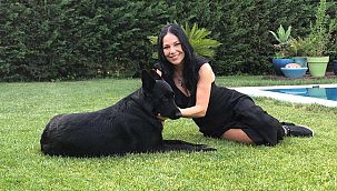 Korksam da aşımı yaptıracağım