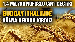 Türkiye, Çin'den Daha Fazla Buğday İthal Etti