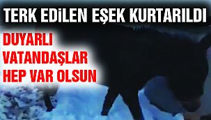 Yaşam Savaşı Veriyordu! Yetkililer Tarafından Kurtarıldı