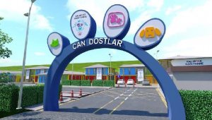 'Can Dostlar Ofisi' Yıl İçinde Hizmete Açılıyor