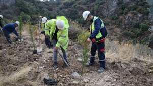 Enerji Şirketinden 3 Yılda 1 Milyon Ağaç