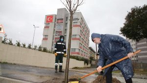 Sultanbeyli Belediyesi'nden Fidan Dikimi Etkinliği