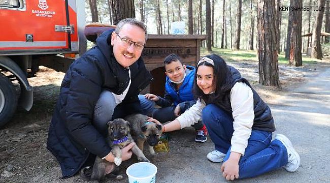 Başkan Kartoğlu İki Yavru Sokak Köpeğini Sahiplendi