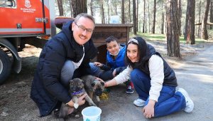 Başkan Kartoğlu İki Yavru Sokak Köpeğini Sahiplendi