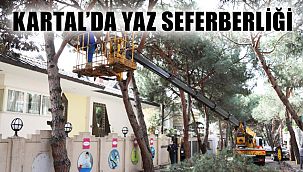 Kartal Belediyesi Park ve Bahçeler Müdürlüğü’nden Yaz Seferberliği