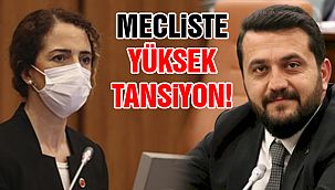 Özlem Bulut'tan