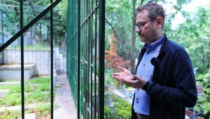 Başkan Kartoğlu, Necip Fazıl Kısakürek'i Andı