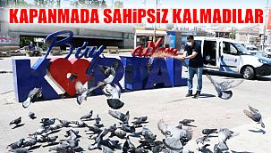 Kapanmada