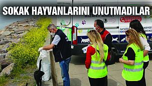 Kartal Belediyesi Tam Kapanma Sürecinde de Sokak Hayvanlarının Yanında