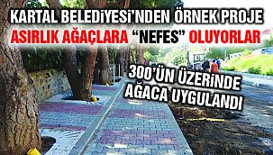 Kartal Belediyesi Asırlık Ağaçlara 'Nefes Borusu' ile Can Veriyor
