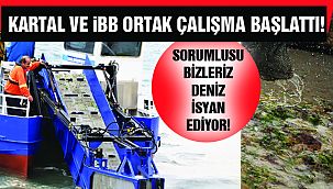 Kartal Sahilinde