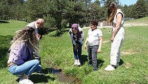 Samsun’da görüldü! Nesli tükenme tehlikesinde…
