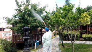 Bağcılar doğaya zarar veren böceklere karşı korunuyor