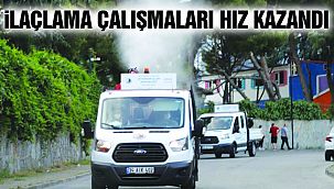 Kartal'da İlaçlama Çalışmalarına Hız Verildi
