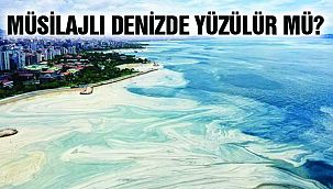 Müsilajlı Denizde Yüzülebilir mi?