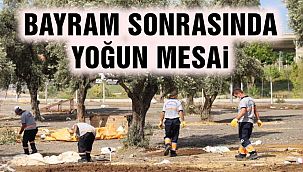 Bayram Sonrası Kurban Satış ve Kesim Alanında Yoğun Mesai