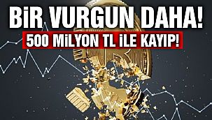 Bir Kripto Vurgunu Daha!
