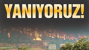 Gün Ağarınca Acı Tablo Ortaya Çıktı!