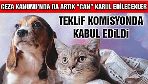 Hayvanları Koruma Kanunu, TBMM Komisyonu'nda Kabul Edildi