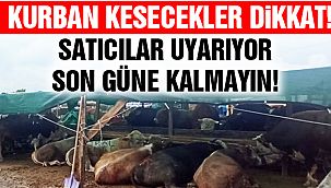 Kartal Kurban Pazarı'nda Satışlar Devam Ediyor