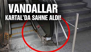 Vandallar Kartal'da İş Başında!