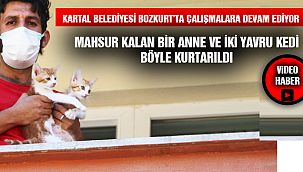 Bozkurt'ta Mahsur Kalan Kedileri Kartallı Ekipler Kurtardı