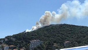 Heybeliada'da Yangın!