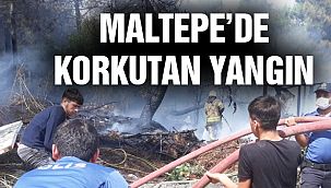 Maltepe'de Orman Yangını!