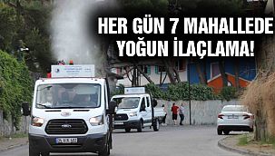 Sinekler ile Mücadeleye Devam