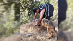 Yangın görevlisi yemeğini köpekle paylaştı