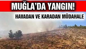 Muğla'da Orman Yangını!