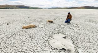 Türkiye’nin Yarısı Şiddetli Kuraklık Yaşıyor!